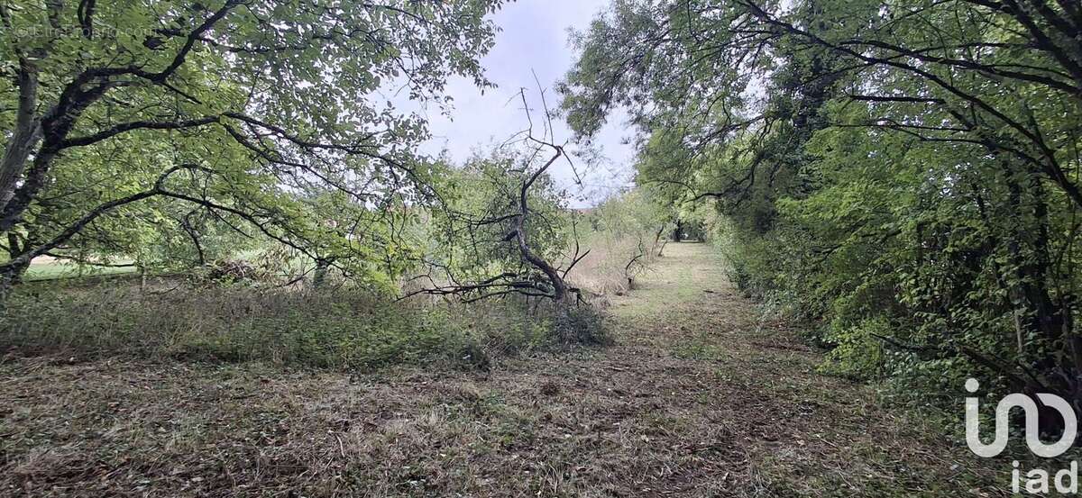 Photo 4 - Terrain à LES AIX-D&#039;ANGILLON