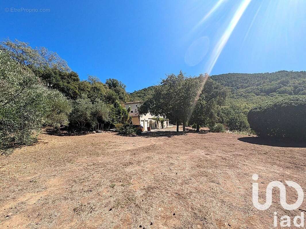 Photo 3 - Maison à MANDELIEU-LA-NAPOULE