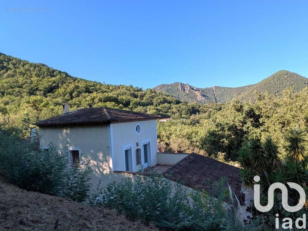 Photo 7 - Maison à MANDELIEU-LA-NAPOULE