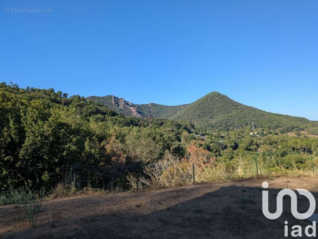 Photo 8 - Maison à MANDELIEU-LA-NAPOULE