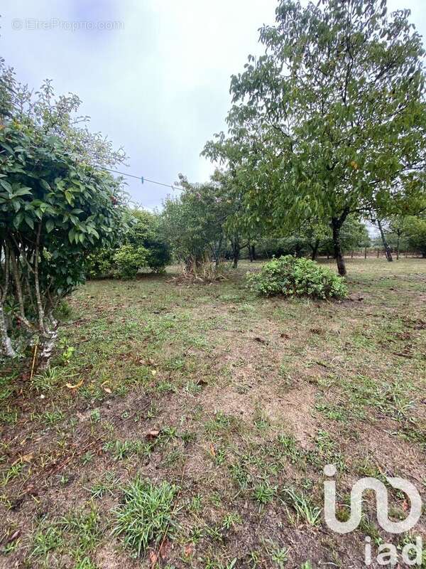 Photo 2 - Maison à LA CHAPELLE-MONTBRANDEIX