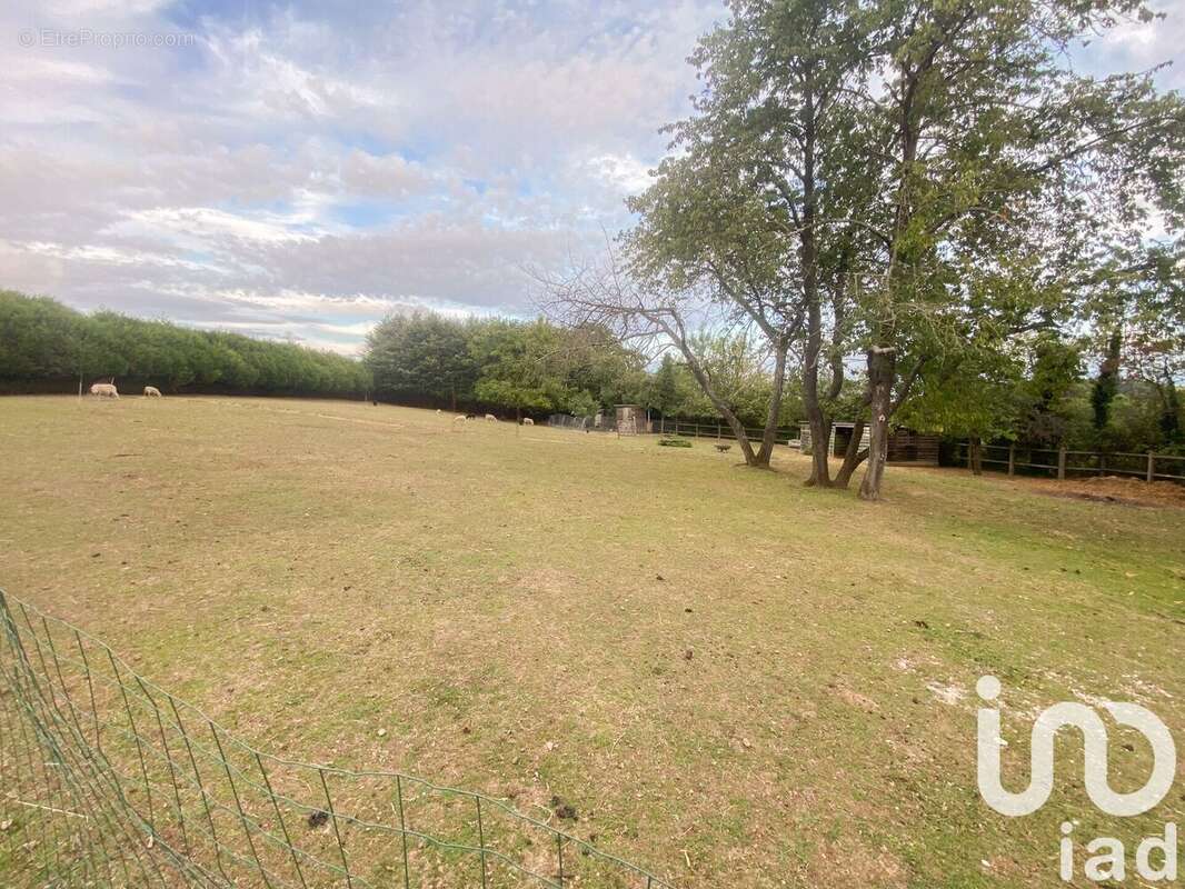 Photo 3 - Maison à NEUILLY-SAINT-FRONT