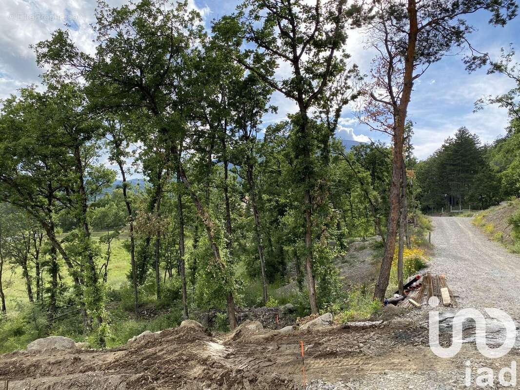 Photo 2 - Terrain à PELLEAUTIER