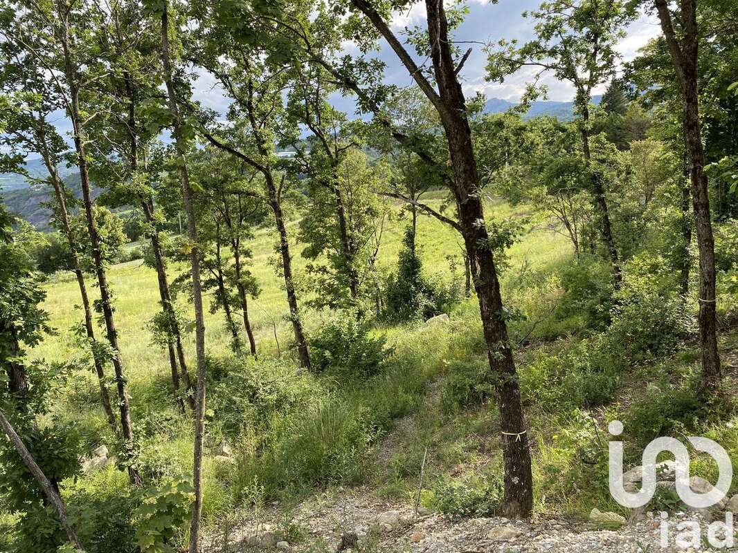 Photo 3 - Terrain à PELLEAUTIER