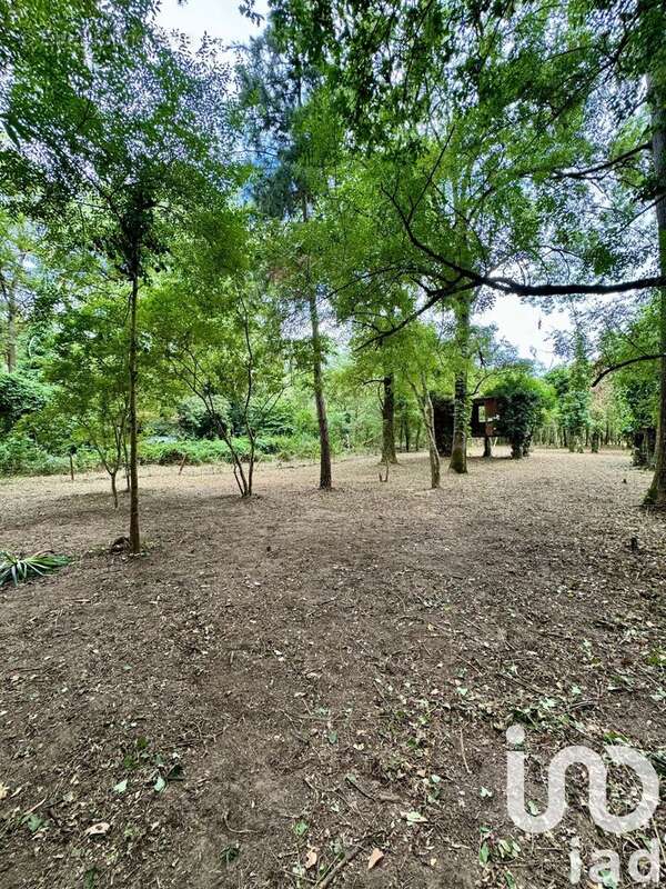 Photo 2 - Terrain à SAVIGNY-EN-VERON