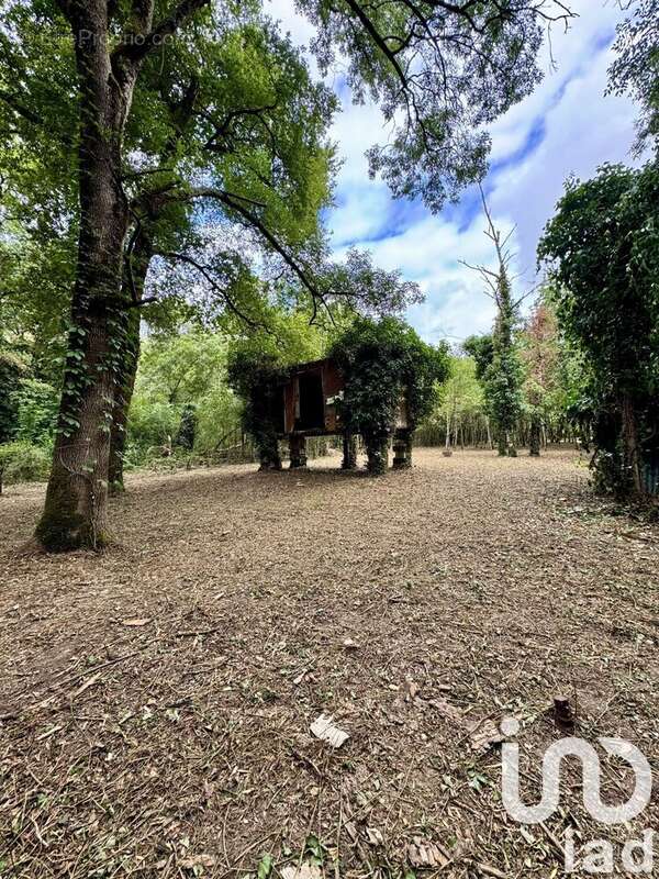 Photo 3 - Terrain à SAVIGNY-EN-VERON