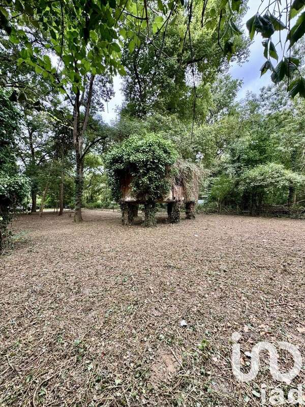 Photo 4 - Terrain à SAVIGNY-EN-VERON