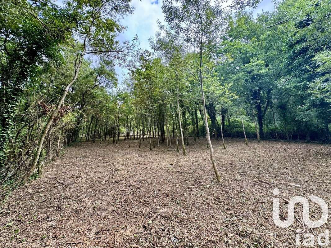 Photo 6 - Terrain à SAVIGNY-EN-VERON