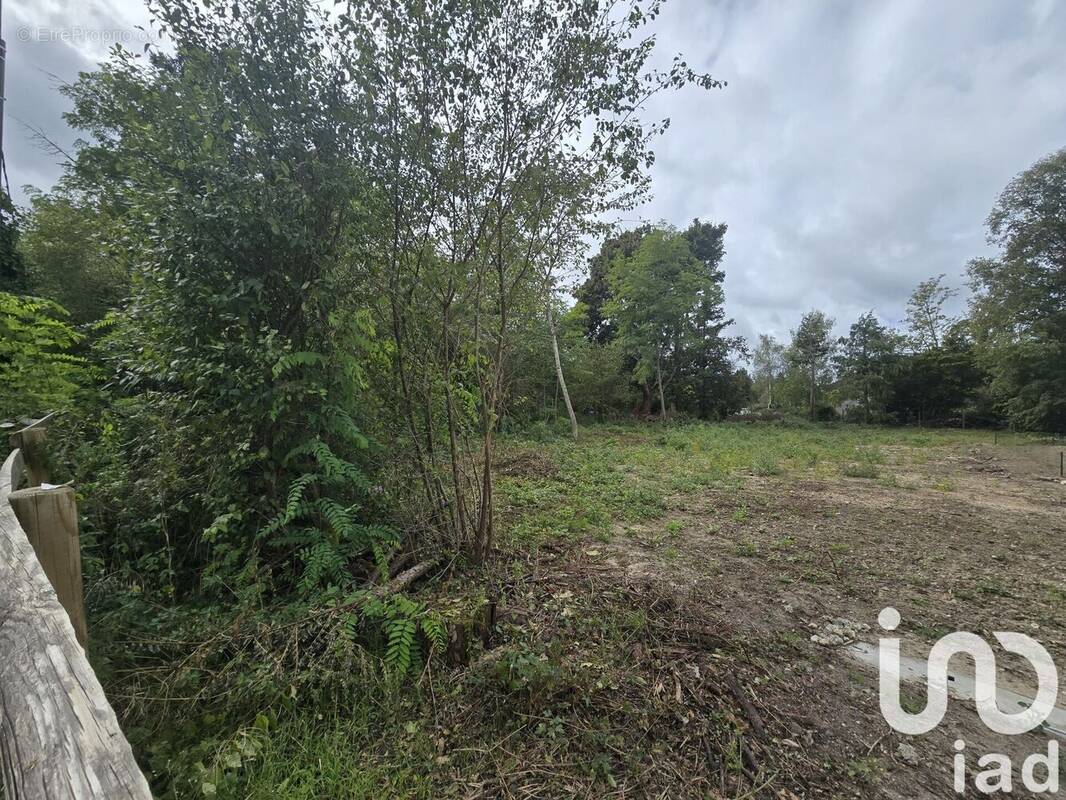 Photo 1 - Terrain à CELLETTES