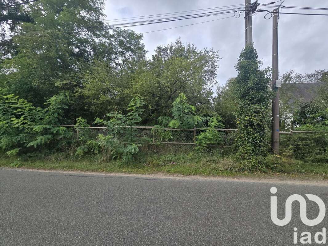 Photo 3 - Terrain à CELLETTES