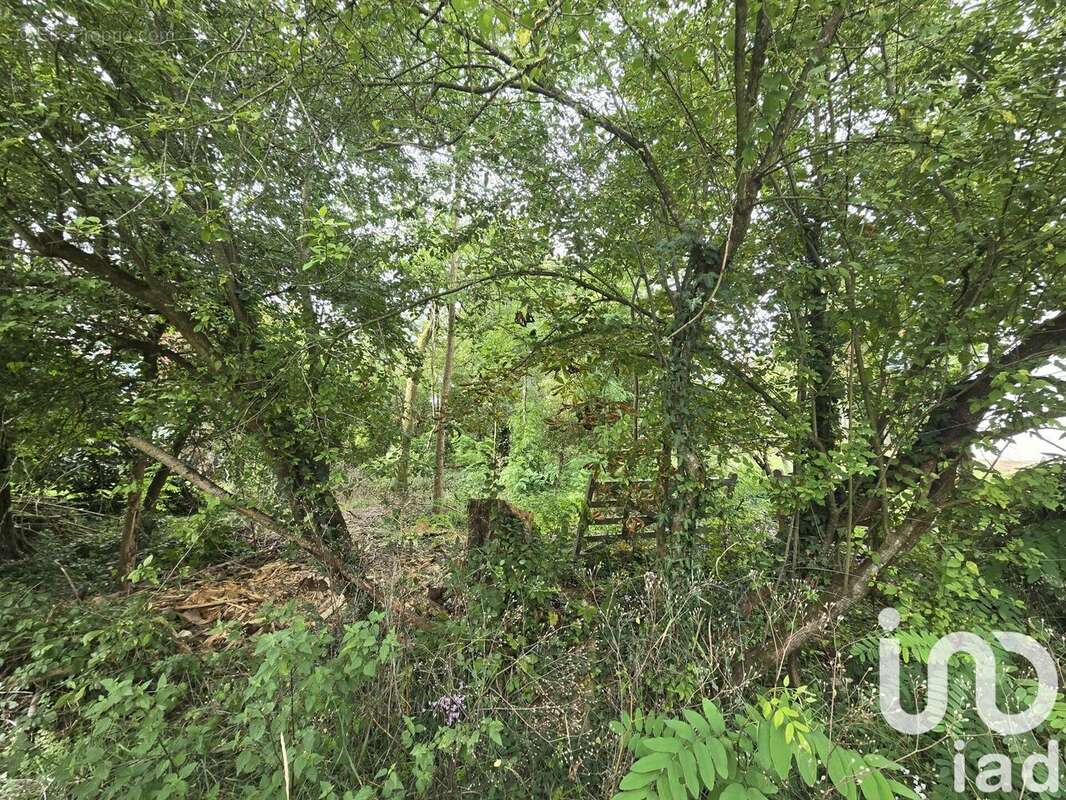 Photo 4 - Terrain à CELLETTES