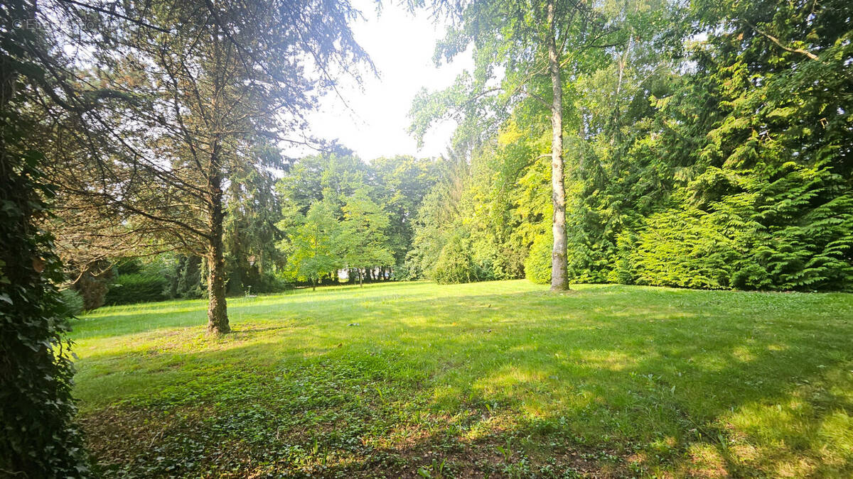 Terrain à SAINT-PAUL