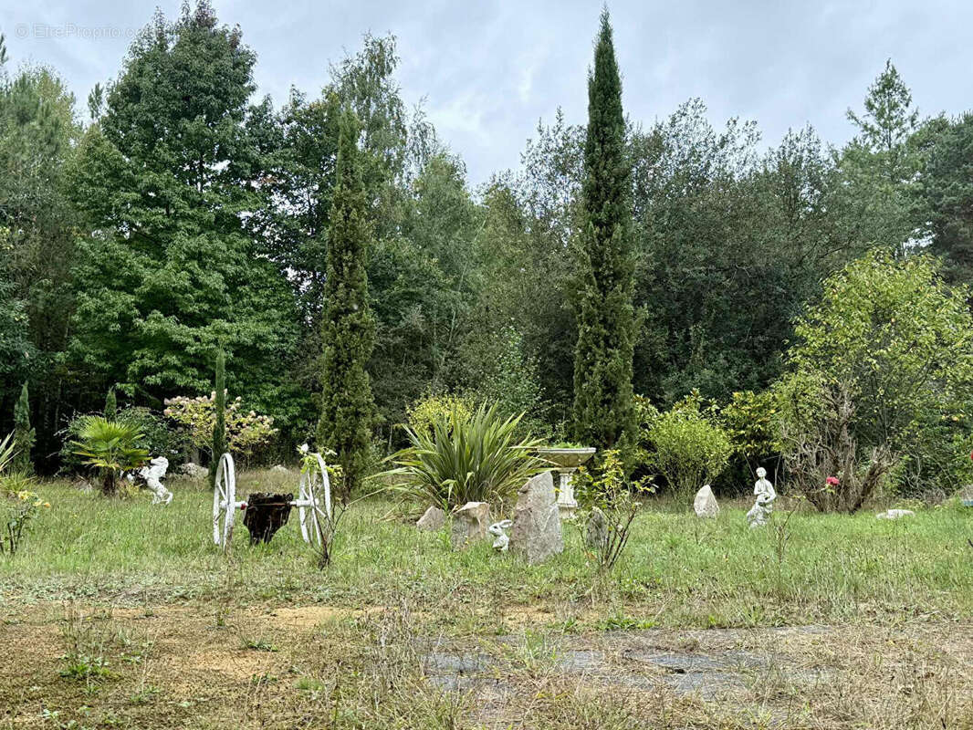 Maison à SAINT-CELERIN