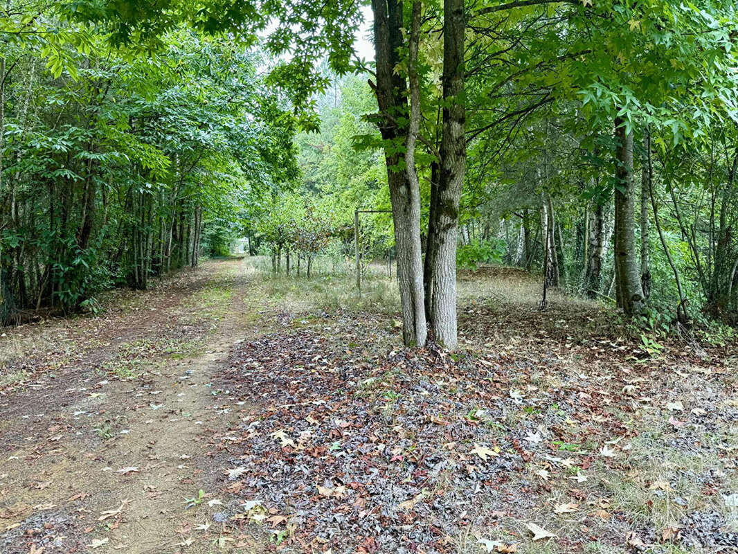 Maison à SAINT-CELERIN