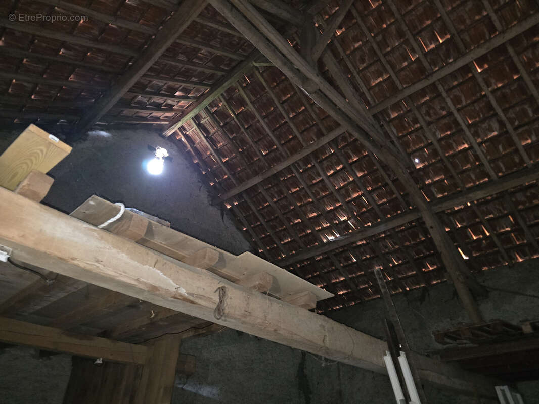 Maison à CREUZIER-LE-NEUF