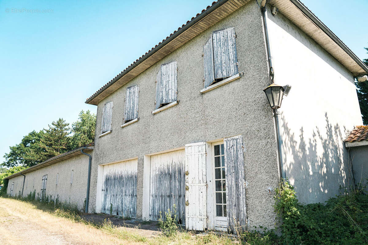 Terrain à SAINT-EMILION