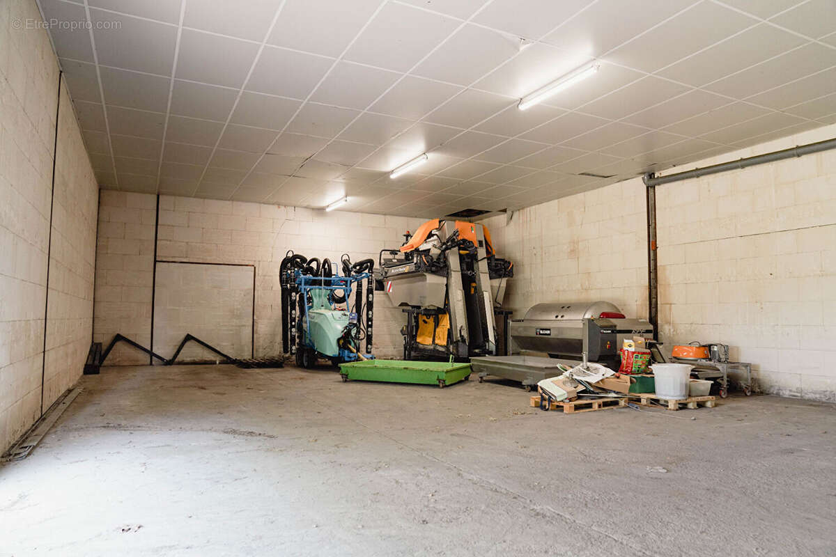 Terrain à SAINT-EMILION