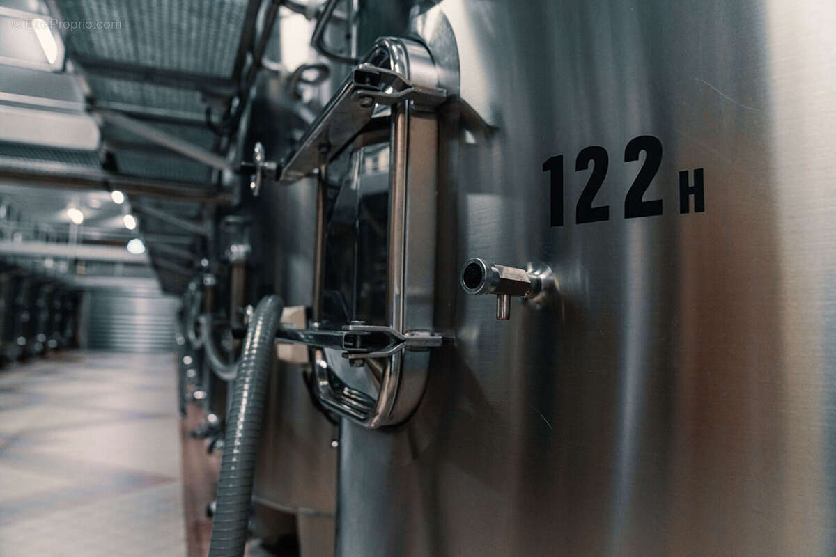 Terrain à SAINT-EMILION