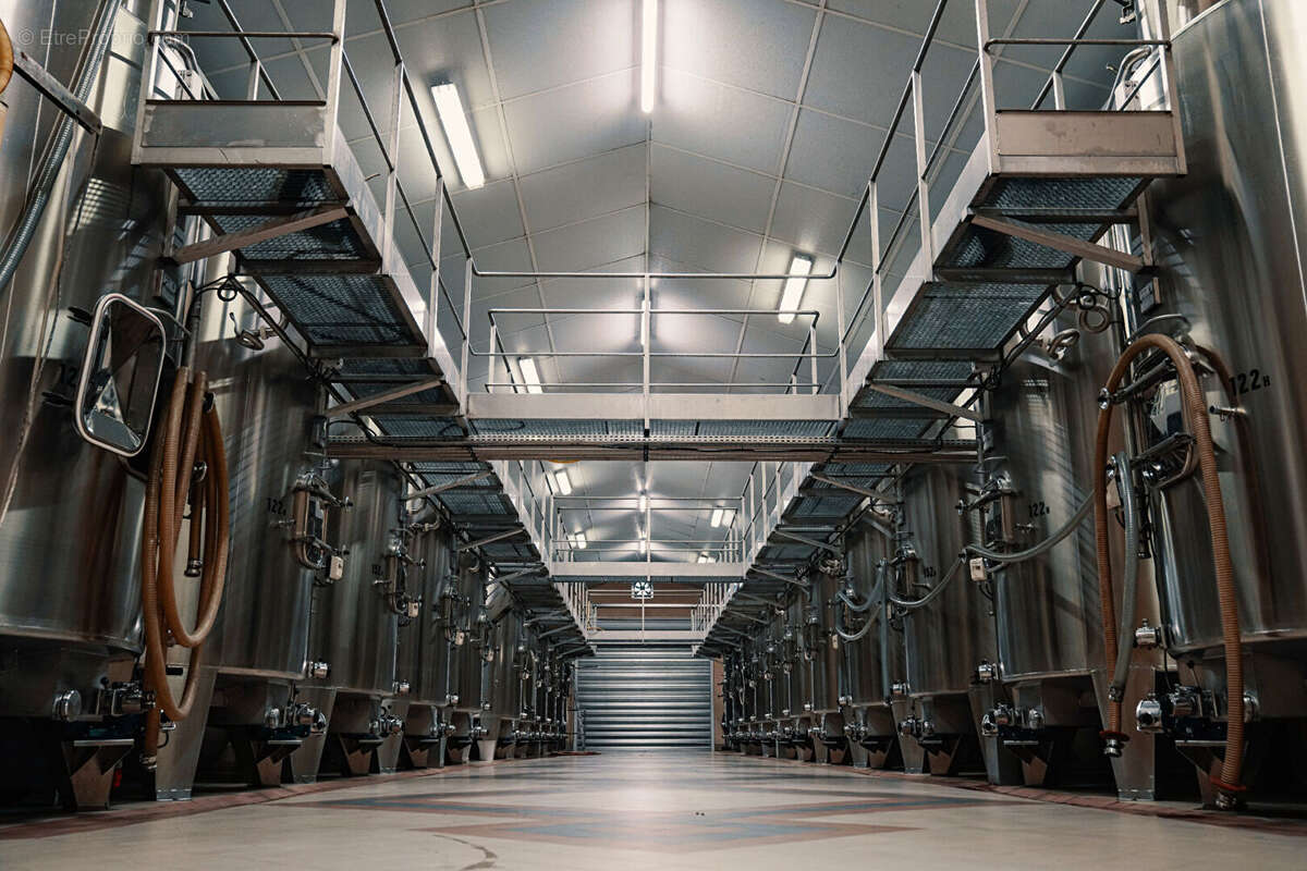 Terrain à SAINT-EMILION