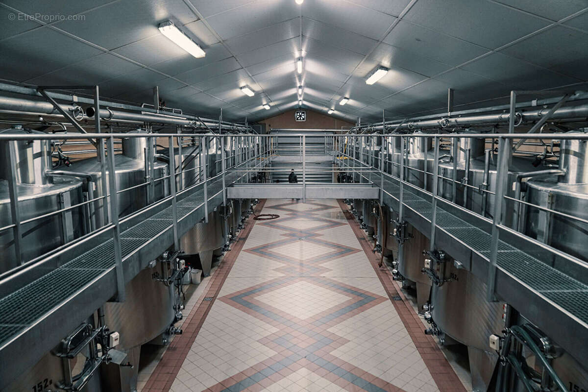 Terrain à SAINT-EMILION