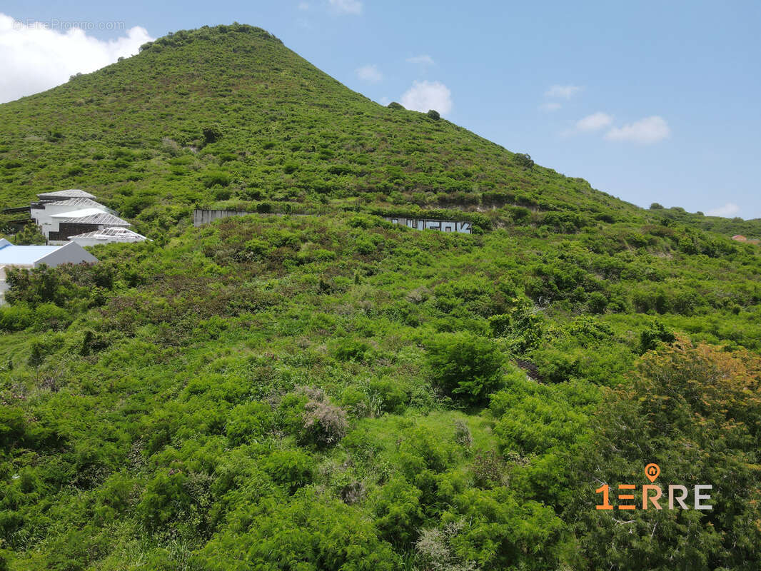 Terrain à SAINT-MARTIN