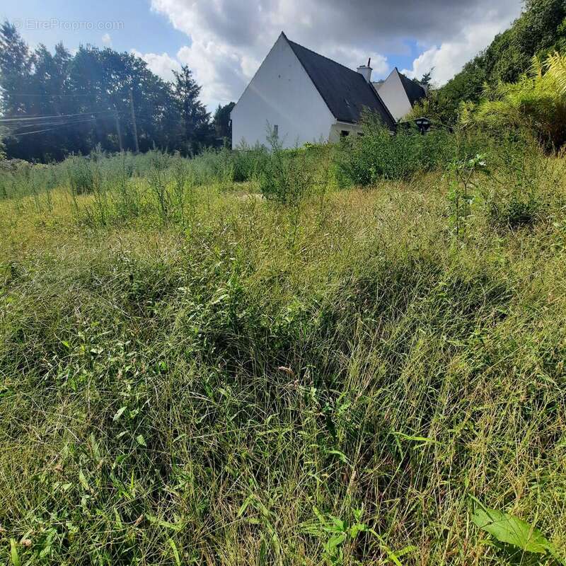 Terrain à SAINT-ETIENNE-DE-MONTLUC