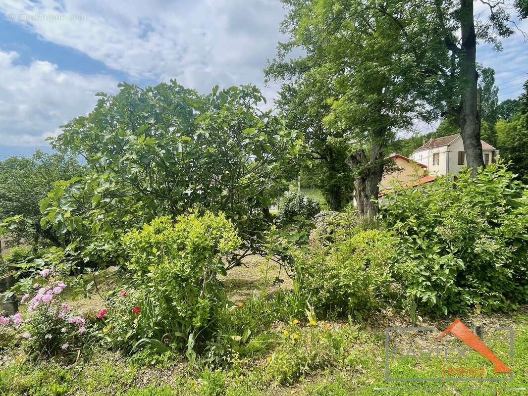 Maison à SALIES-DU-SALAT