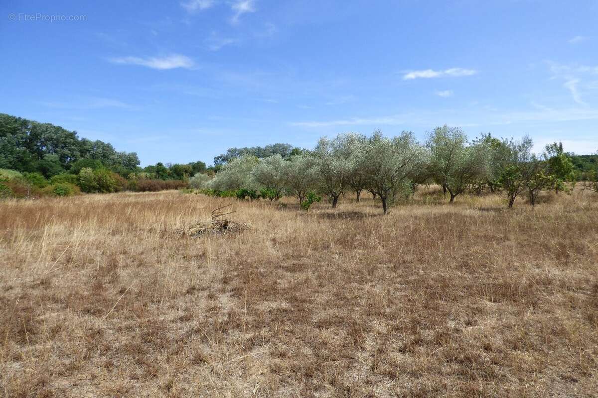 Maison à CAZOULS-D&#039;HERAULT