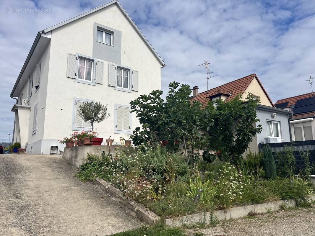Appartement à SCHILTIGHEIM