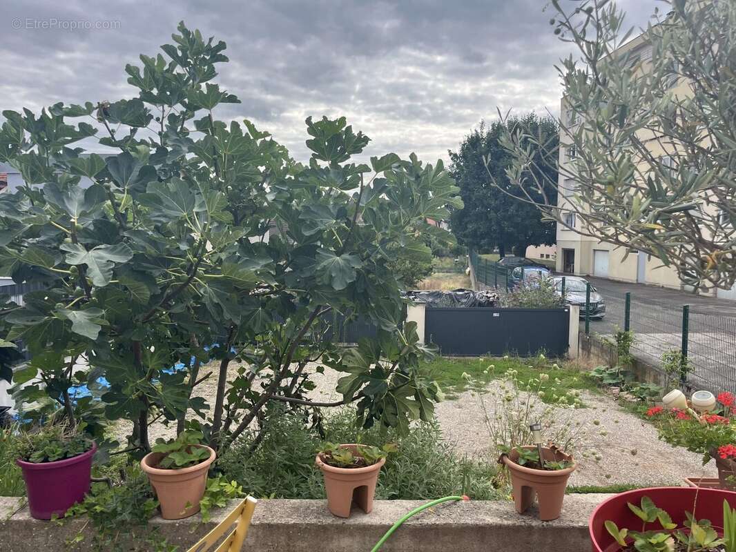 Appartement à SCHILTIGHEIM