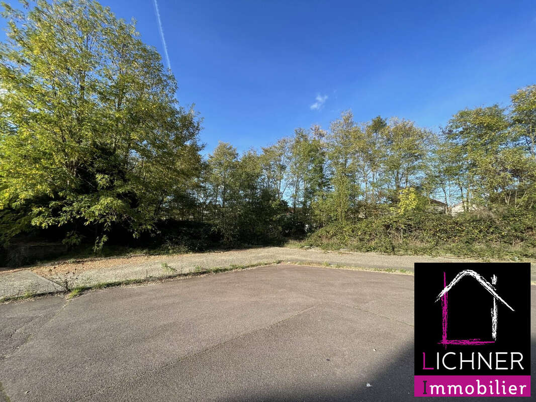 Terrain à FREYMING-MERLEBACH