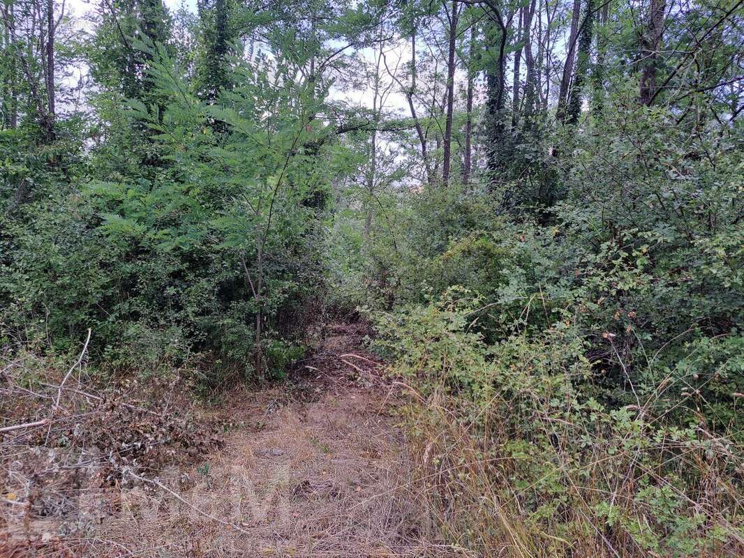Terrain à CAMPAGNE-SUR-AUDE