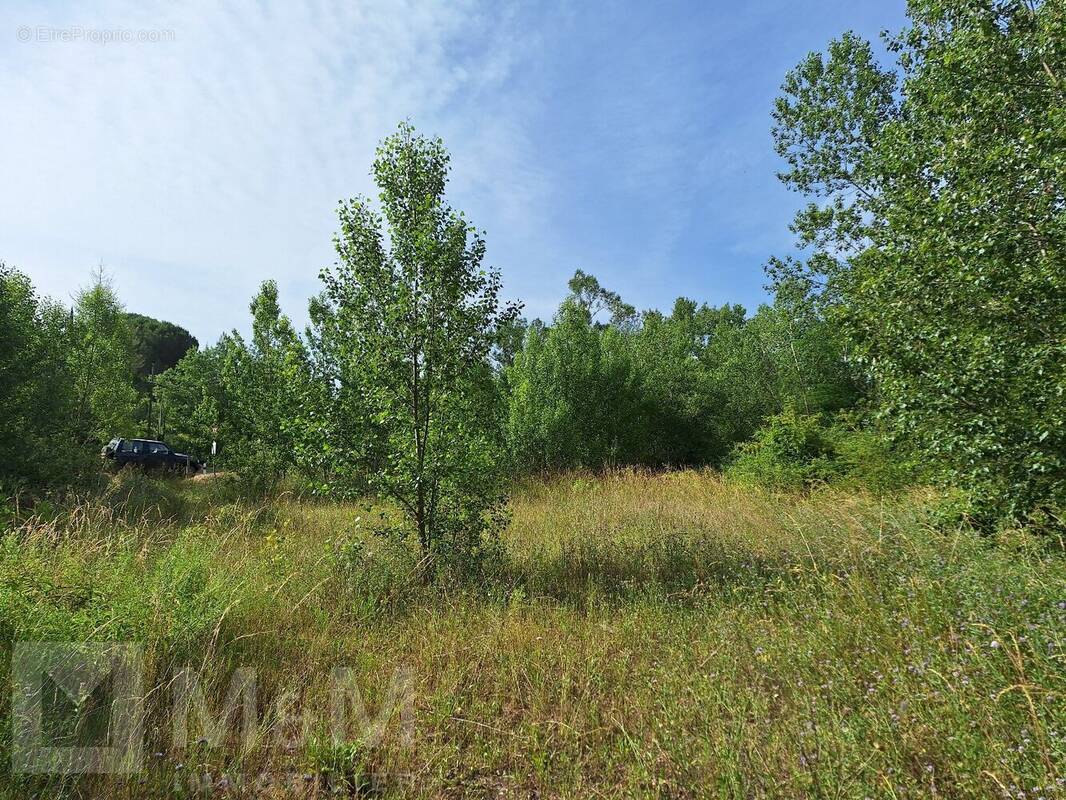 Terrain à CAMPAGNE-SUR-AUDE