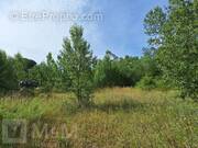 Terrain à CAMPAGNE-SUR-AUDE