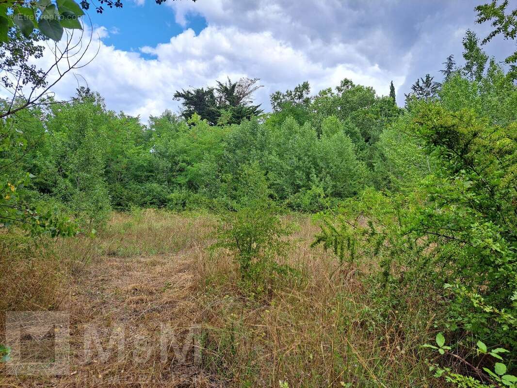 Terrain à CAMPAGNE-SUR-AUDE
