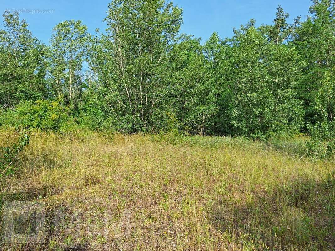 Terrain à CAMPAGNE-SUR-AUDE