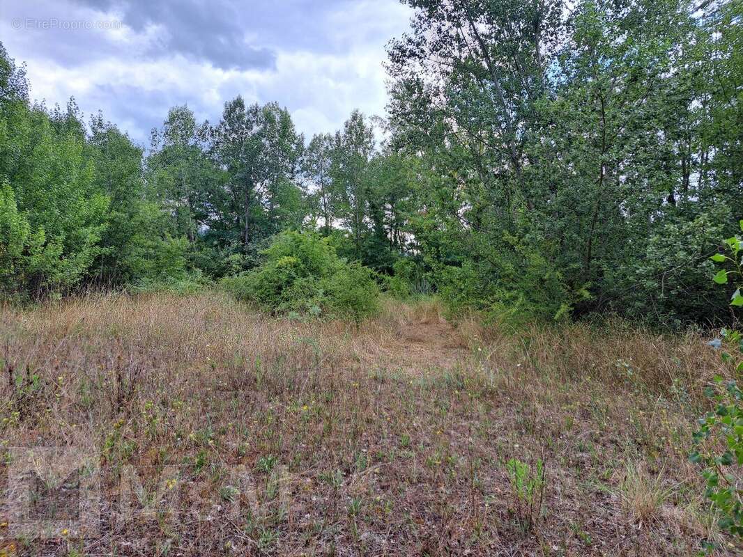 Terrain à CAMPAGNE-SUR-AUDE