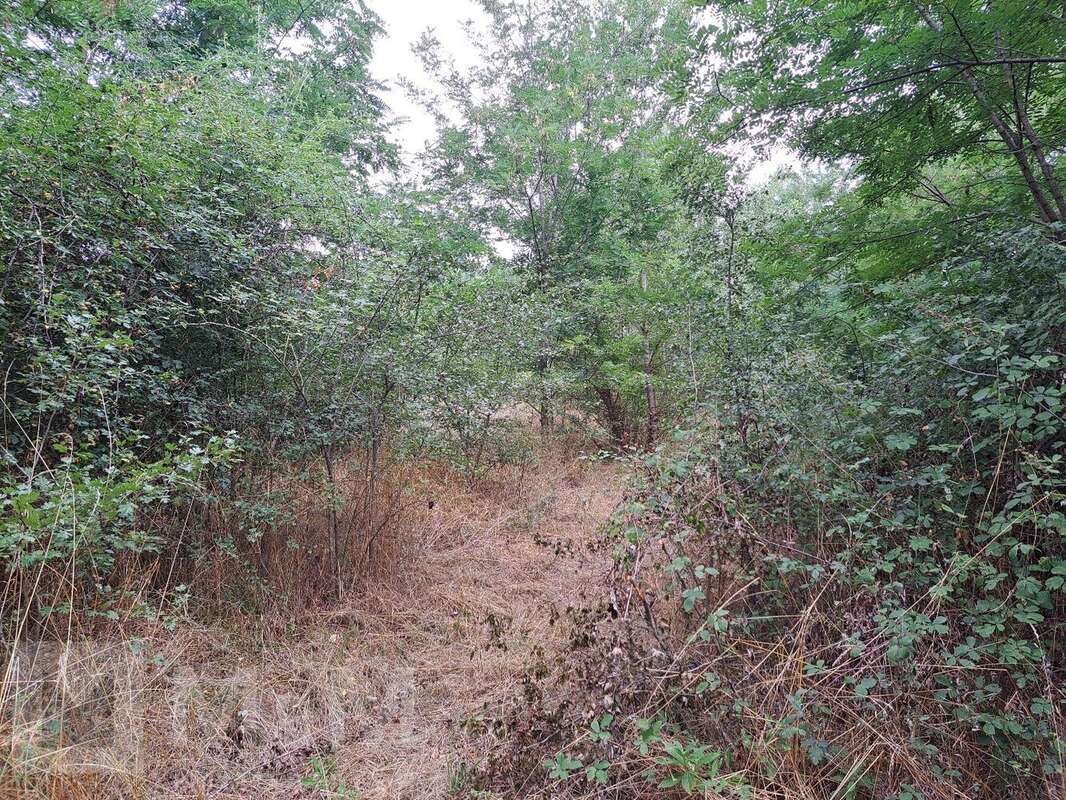 Terrain à CAMPAGNE-SUR-AUDE