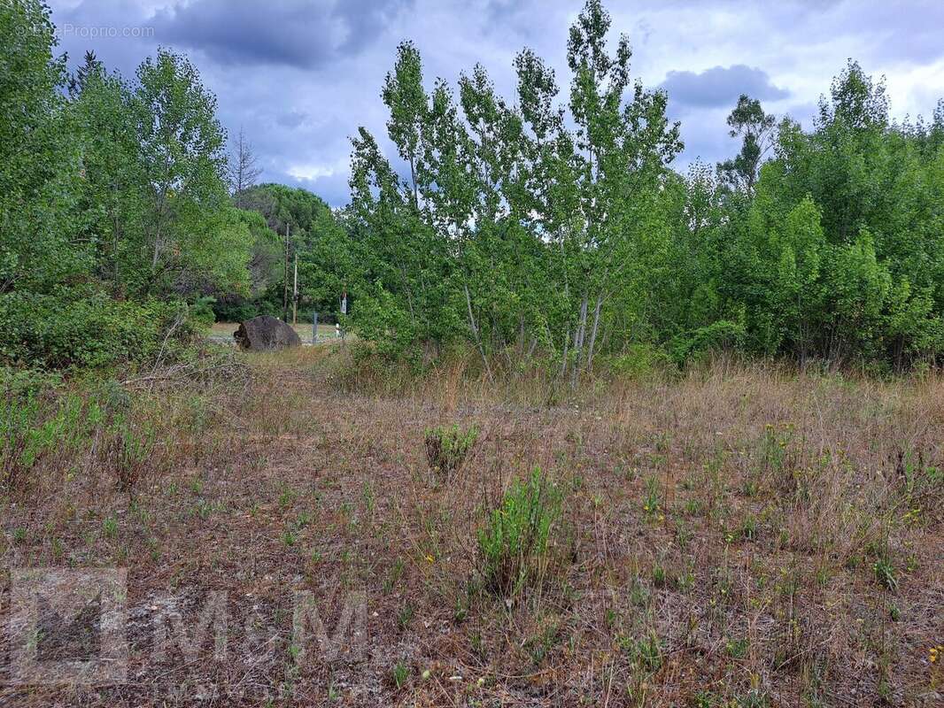 Terrain à CAMPAGNE-SUR-AUDE