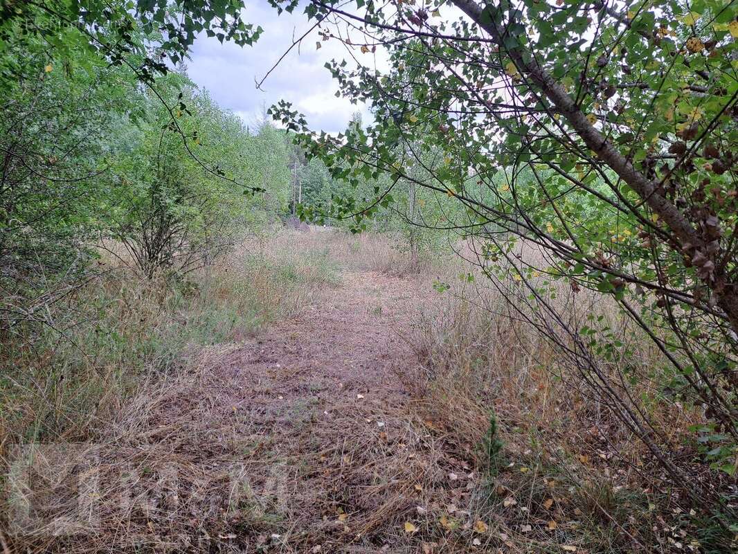 Terrain à CAMPAGNE-SUR-AUDE