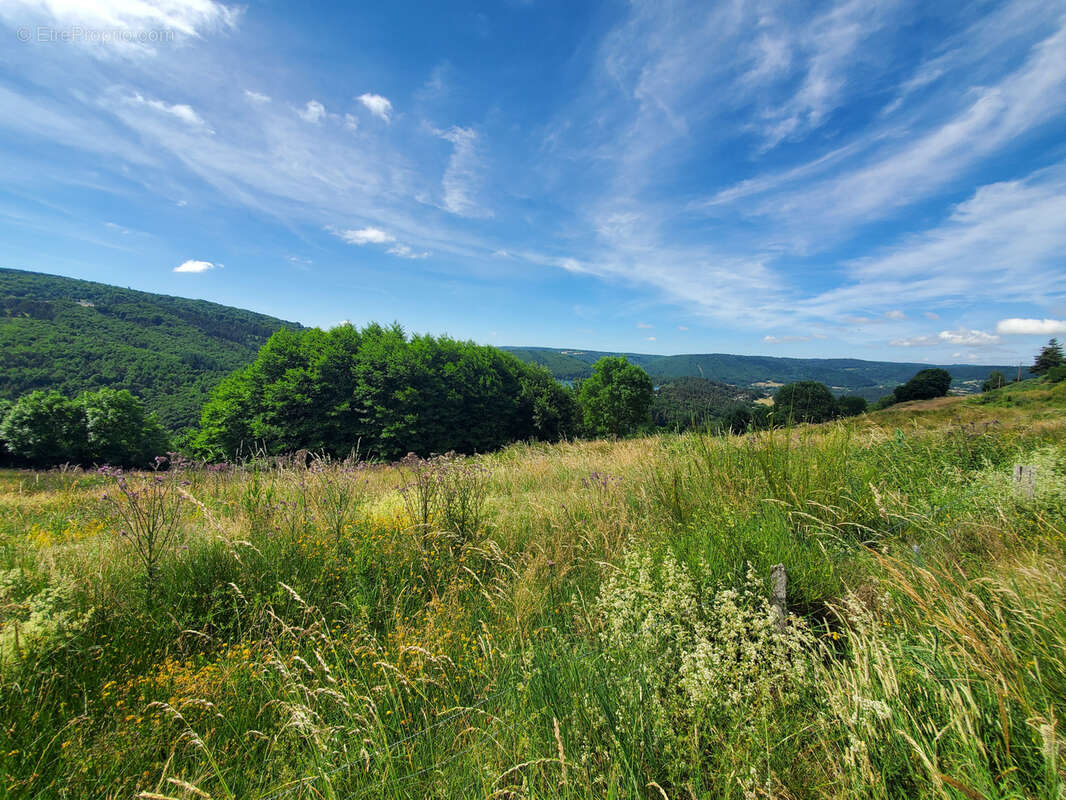 Terrain à LE LAC-D&#039;ISSARLES