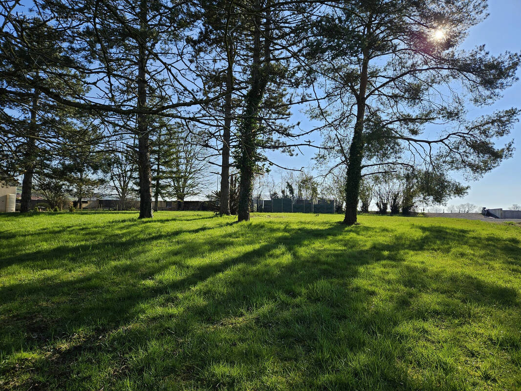 Terrain à CHEILLY-LES-MARANGES