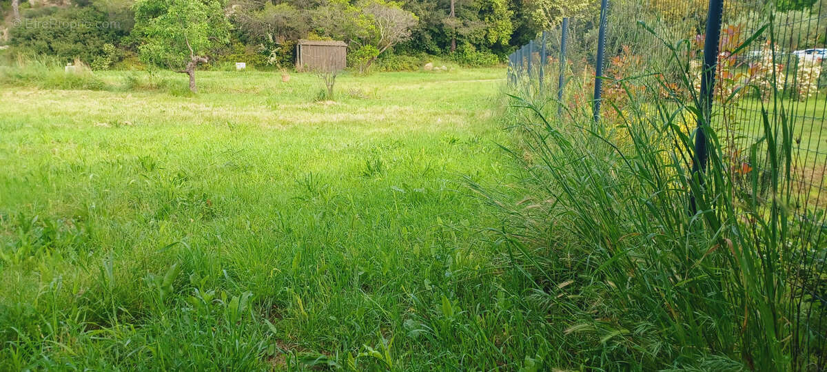 Terrain à GUZARGUES