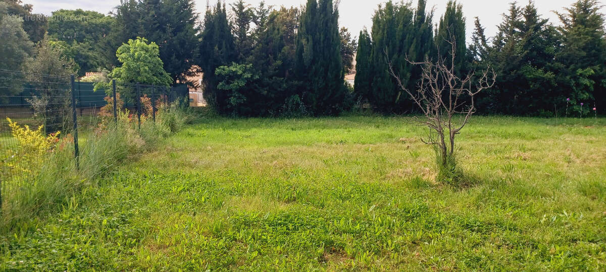 Terrain à GUZARGUES