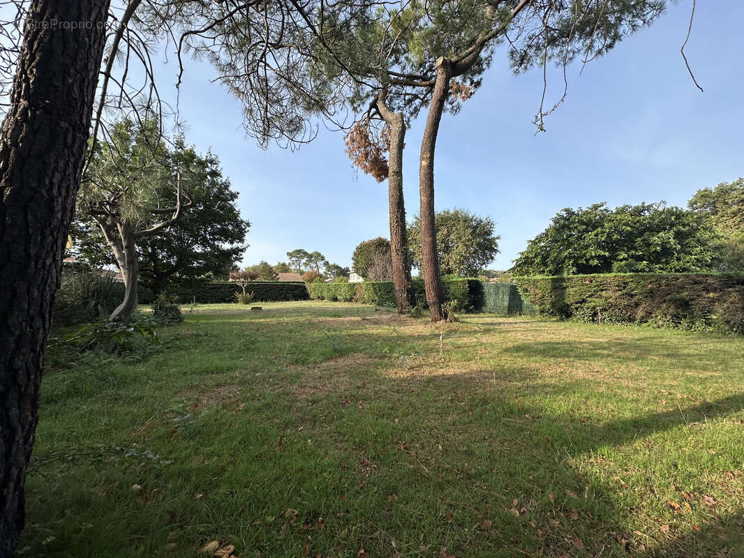 Terrain à GUJAN-MESTRAS