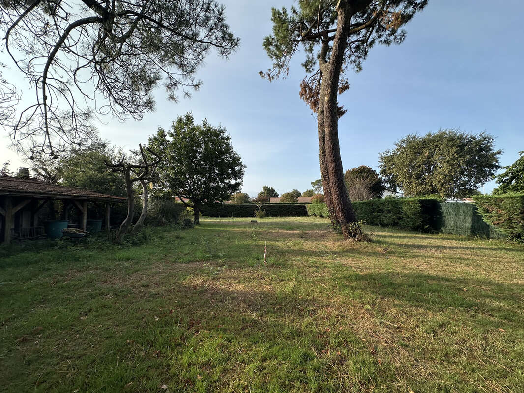 Terrain à GUJAN-MESTRAS