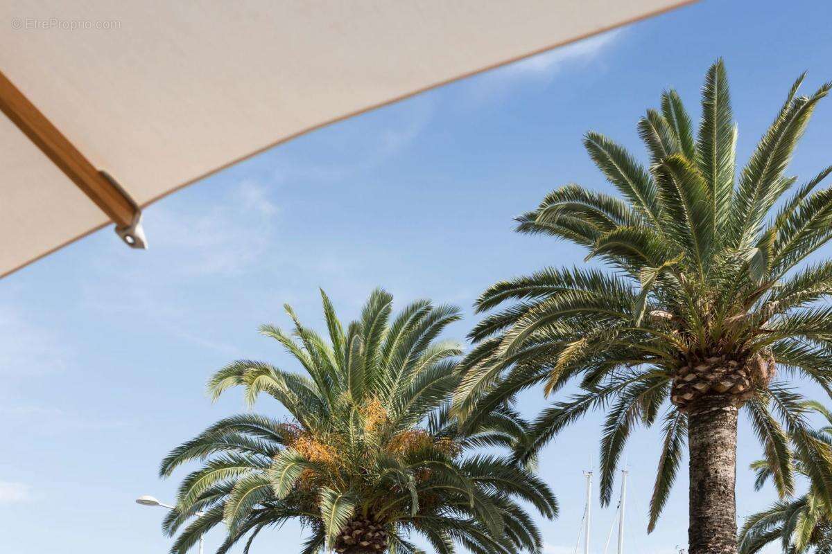 Commerce à SAINT-LAURENT-DU-VAR