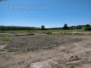 Terrain à SAINT-ROMANS