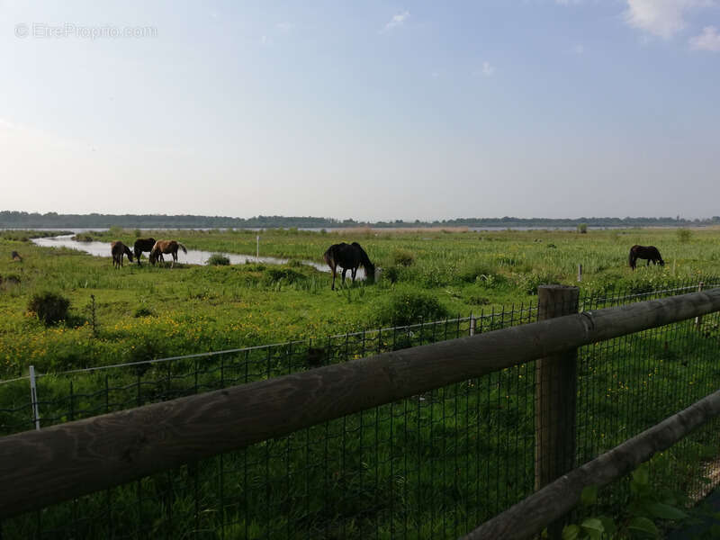Maison à MARAIS-VERNIER