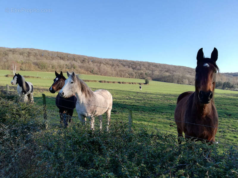 Maison à MARAIS-VERNIER